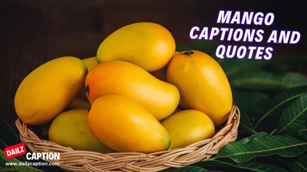 249+ Mango Captions And Quotes For Instagram Dailz Caption