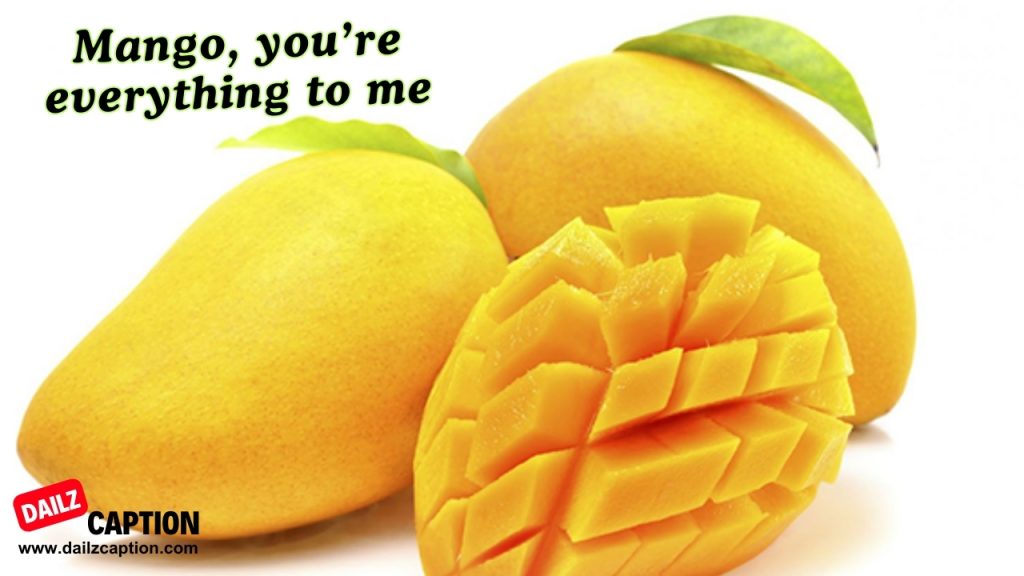 249+ Mango Captions And Quotes For Instagram Dailz Caption