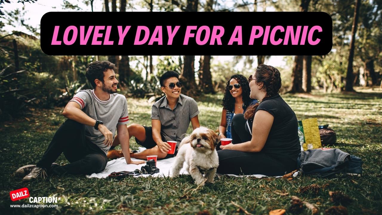 Picnic Quotes For Instagram