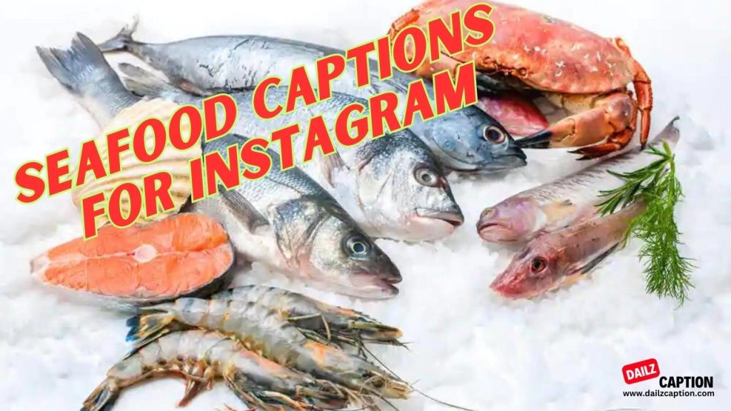 Seafood Captions And Quotes For Instagram Dailz Caption
