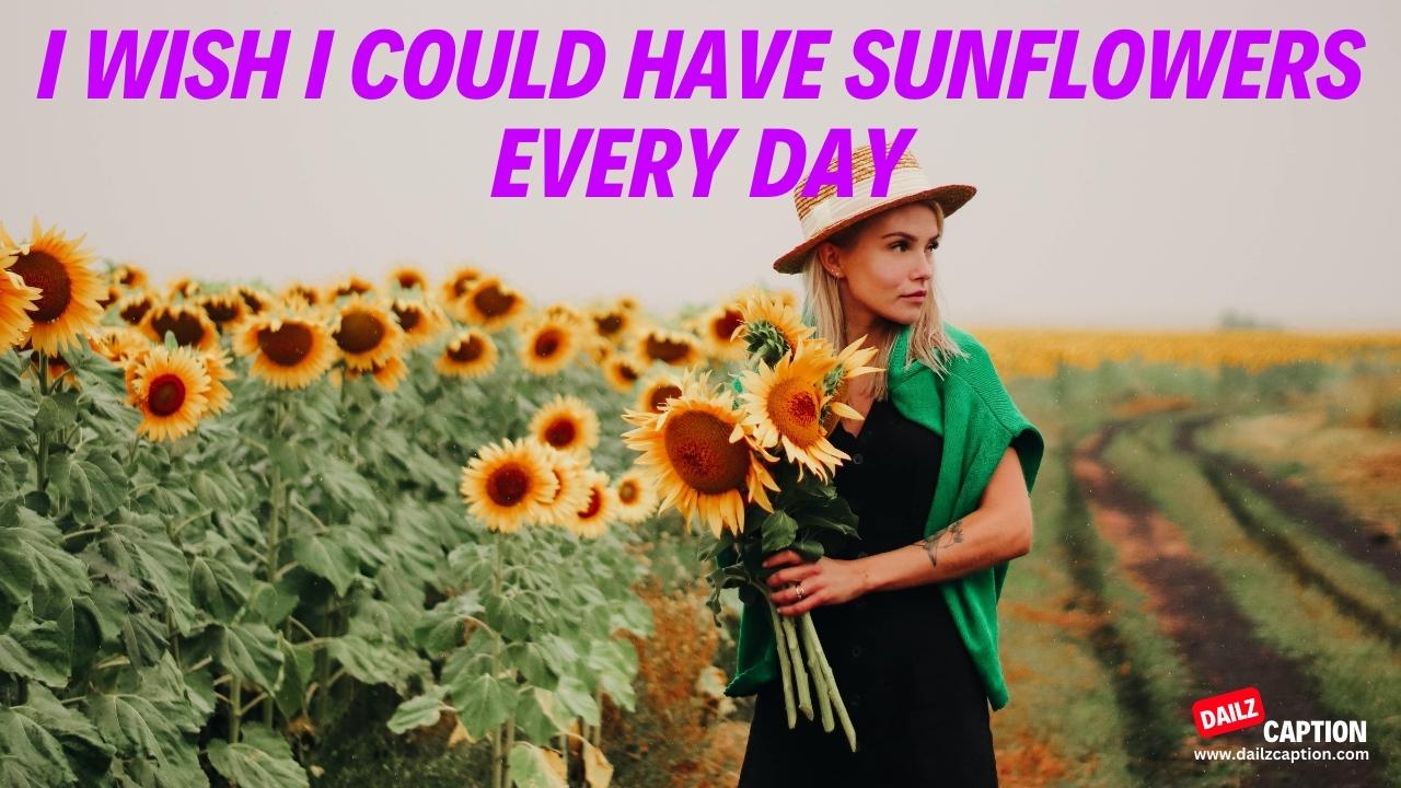Sunflower Quotes for Instagram