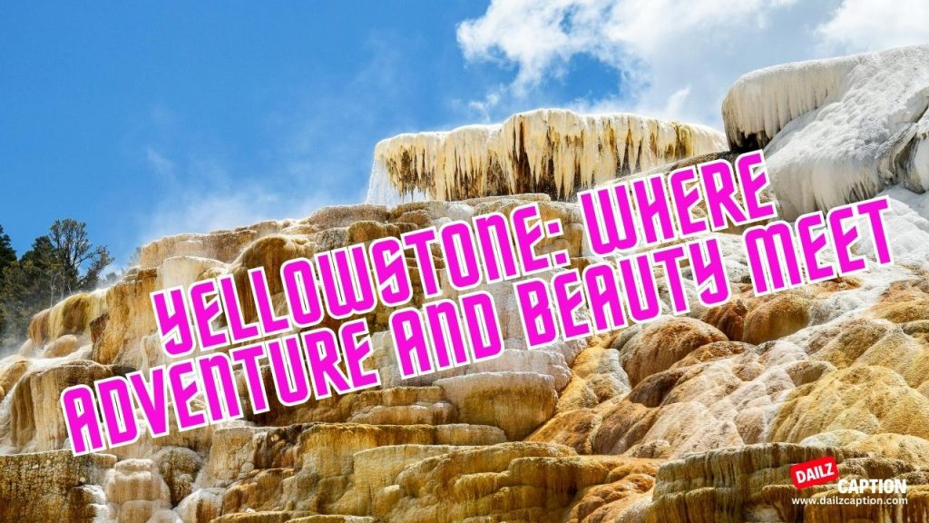 Yellowstone National Park Captions and Quotes for Instagram Dailz Caption