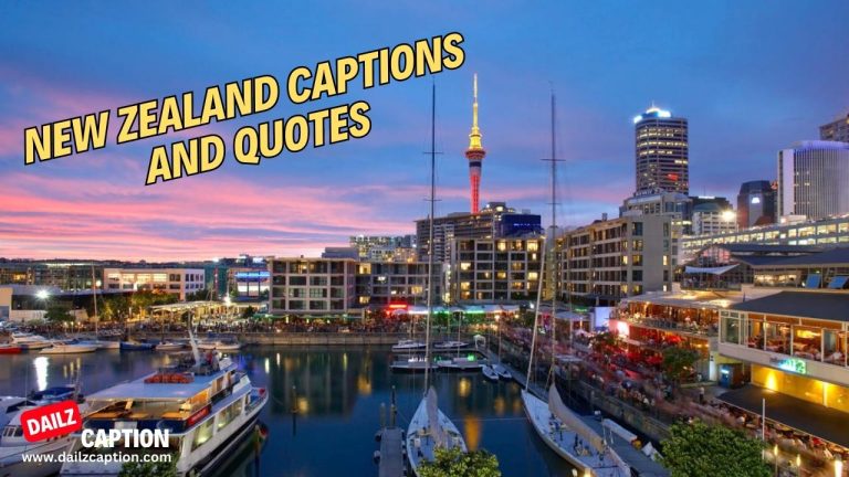 296 New Zealand Captions And Quotes For Instagram