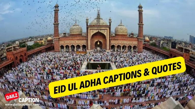 430 Eid Ul Adha Captions for Instagram  Bakra Eid Captions
