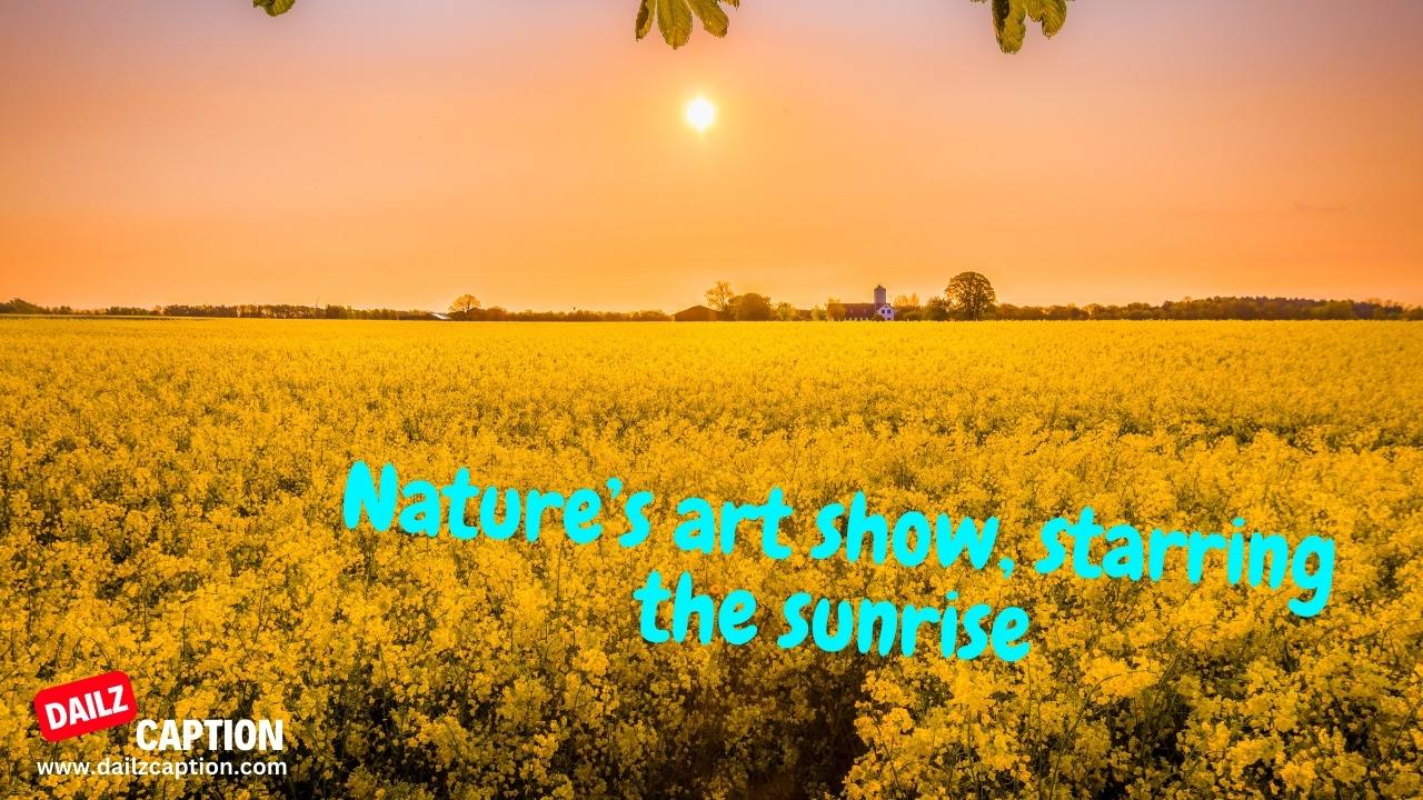 Inspirational Sunrise Quotes for Instagram