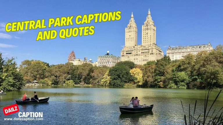 312 Central Park Captions And Quotes For Instagram