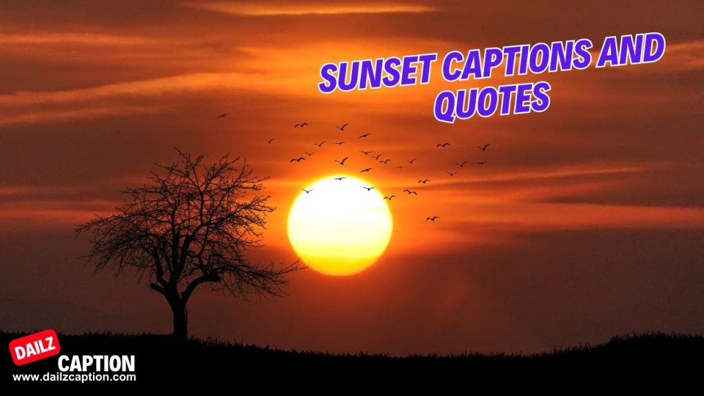 299 Best Sunset Captions And Quotes For Instagram Dailz Caption