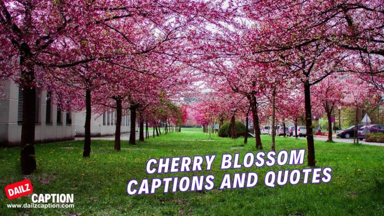 282 Cherry Blossom Quotes And Captions For Instagram