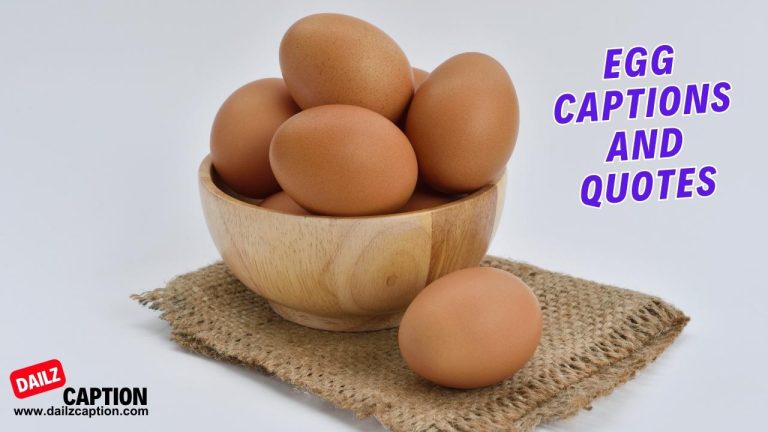 400 Egg Captions And Quotes For Instagram
