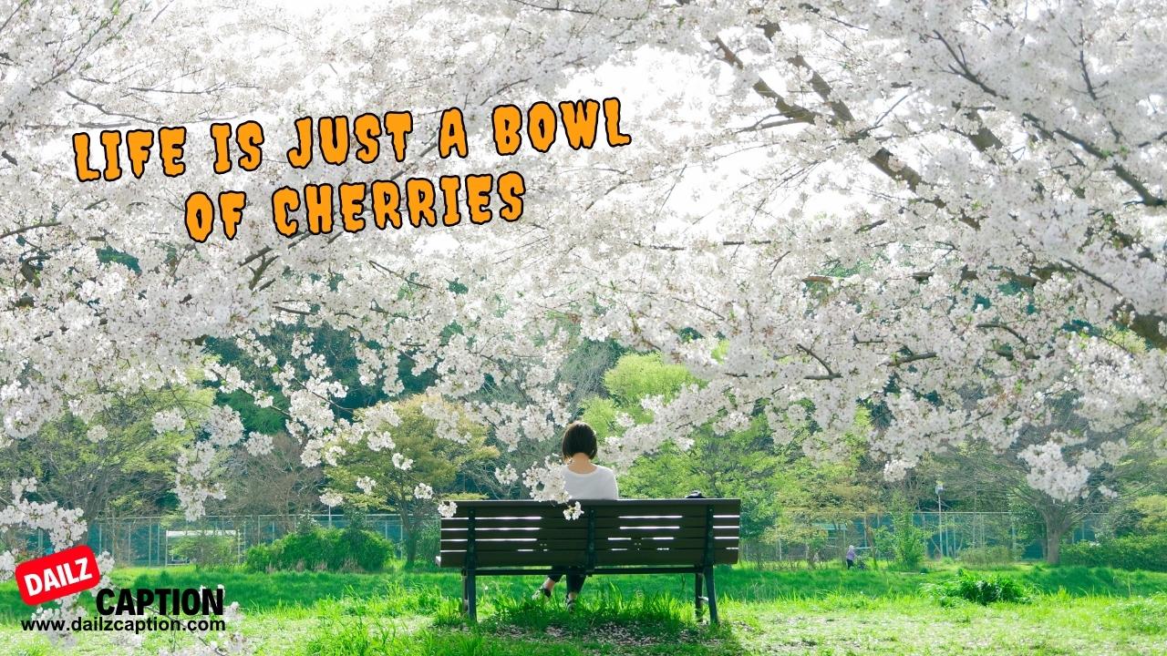 Funny Cherry Blossom Instagram Captions
