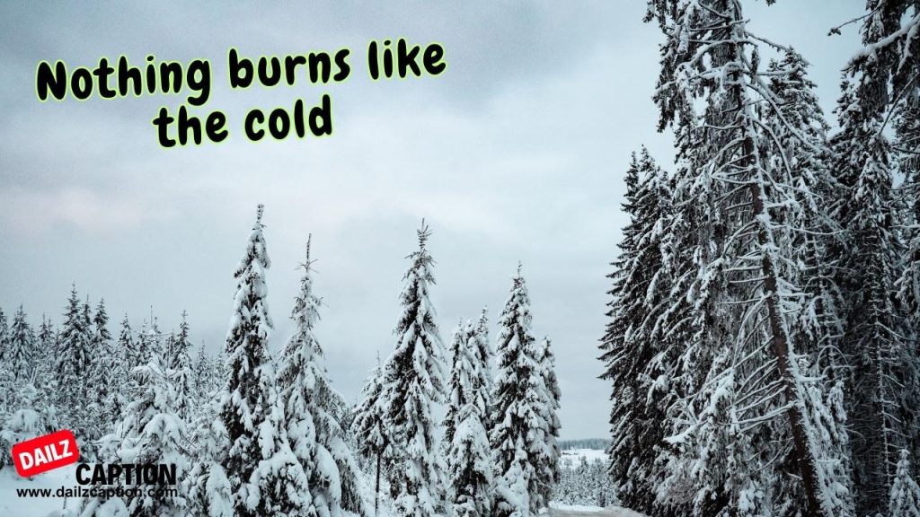 251 Snow Captions For Instagram To Celebrate The Chill Season Dailz Caption