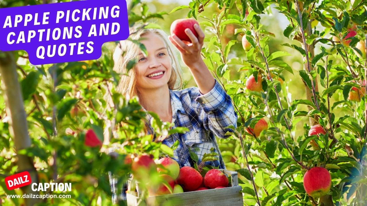 317 Apple Picking Captions And Quotes For Instagram Delicious Apple Captions