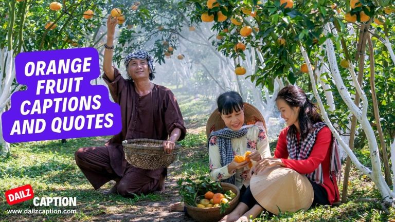 398 Orange Fruit Captions And Quotes For Instagram 
