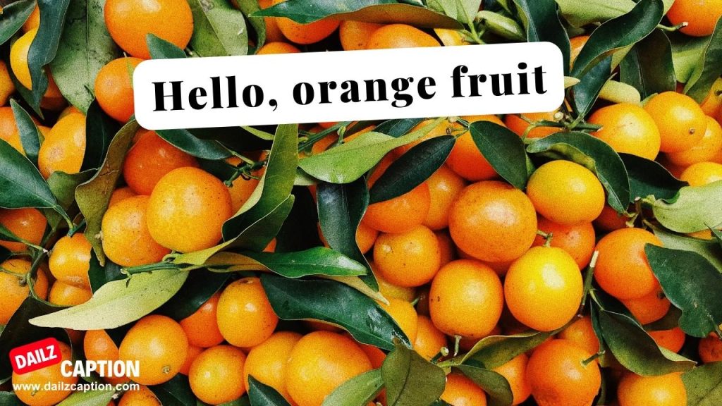 398 Orange Fruit Captions And Quotes For Instagram Dailz Caption
