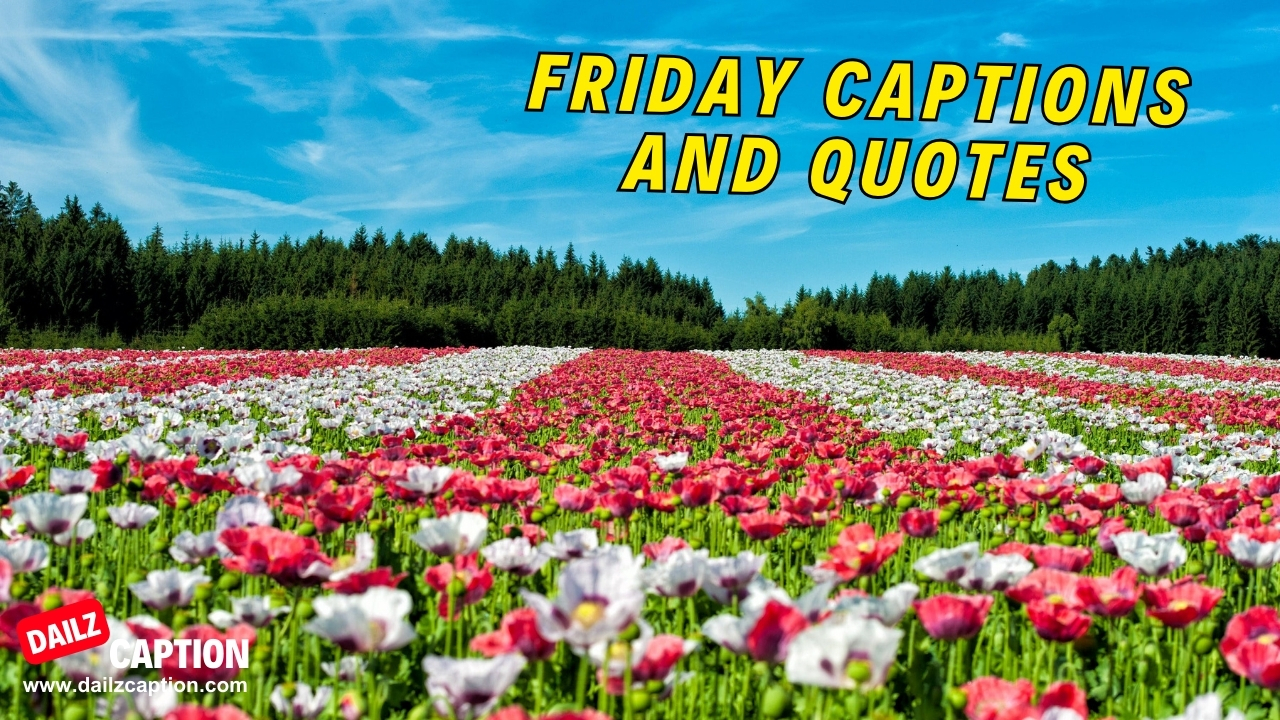 430 Amazing Friday Captions And Quotes For Instagram