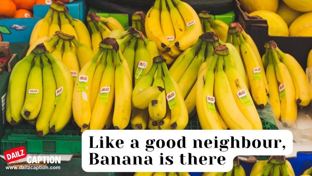 319 Best Banana Captions For Instagram with Quotes Dailz Caption