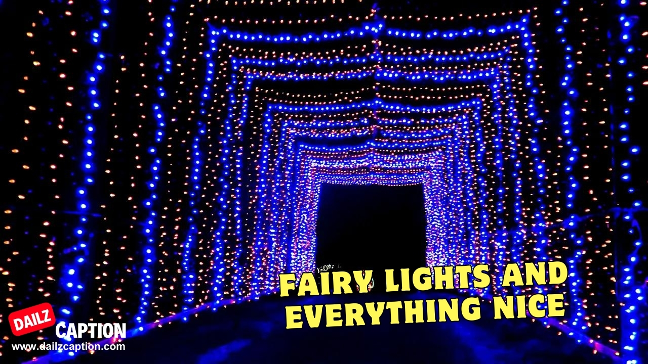 Funny Fairy Light Captions