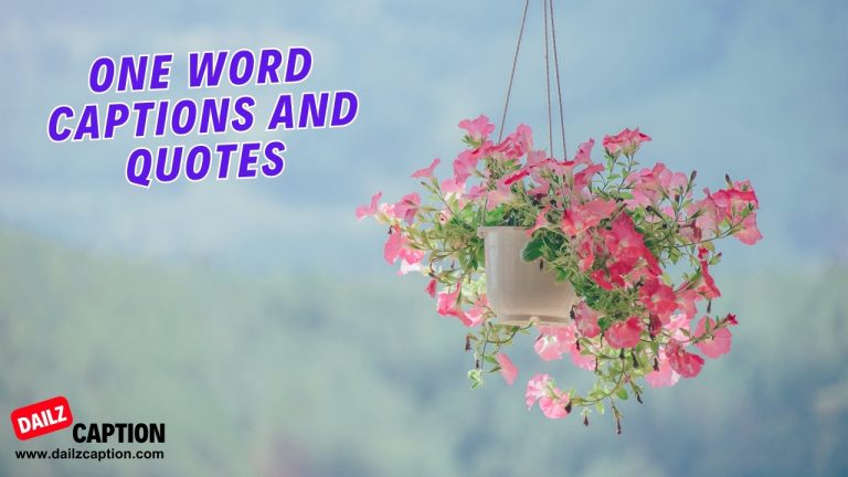 980 One Word Captions For Instagram Short Quotes & Sayings
