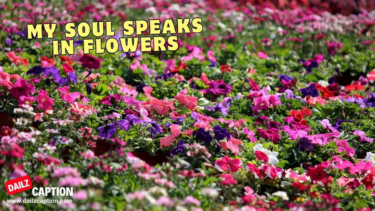 Flower Gardening Instagram Captions