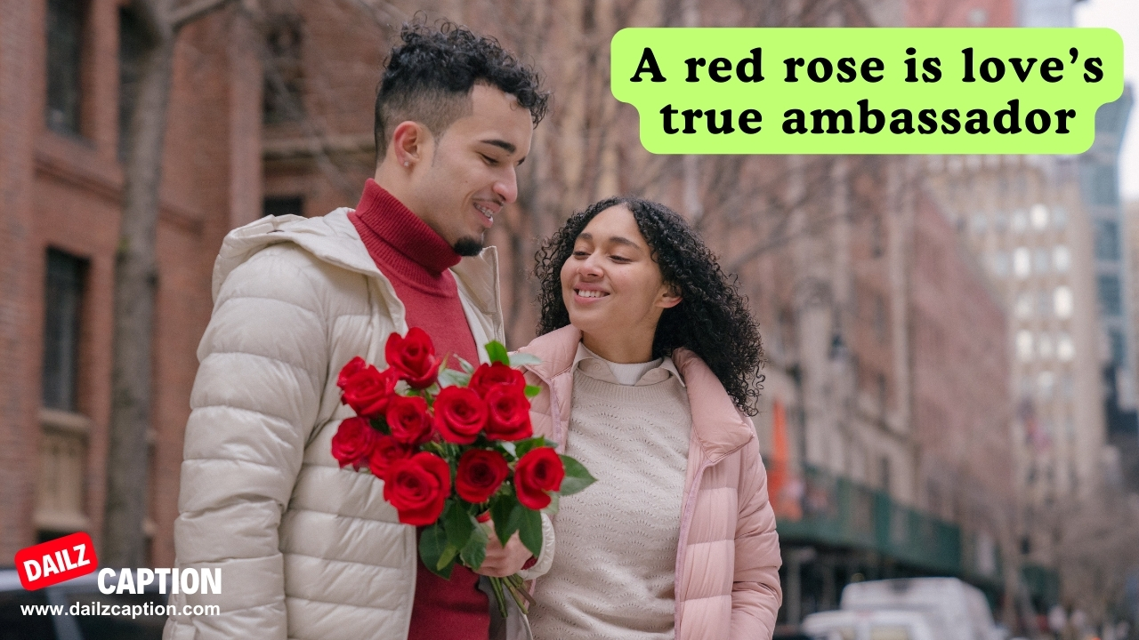 Red Rose Captions For Instagram