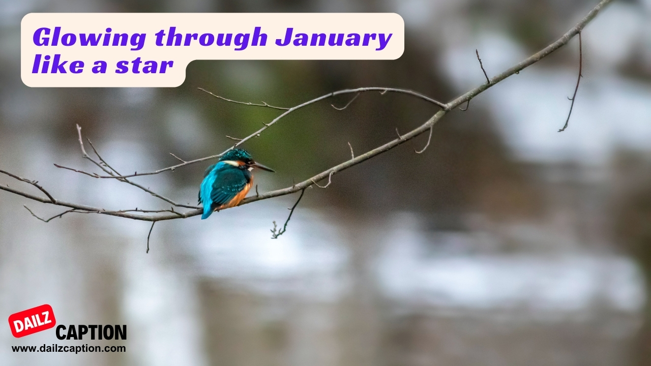 Short Quotes For January