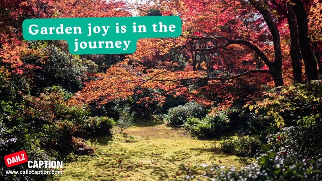 448 Beautiful Garden Captions And Quotes For Instagram Dailz Caption