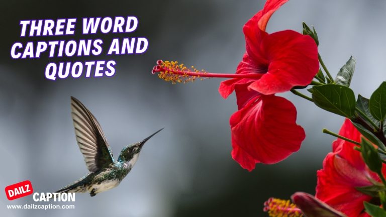 440 Best Three Word Captions And Quotes For Instagram