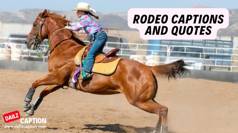 373 Rodeo Captions And Quotes For Instagram