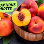 113 Best Juicy Peach Puns And Quotes For Instagram