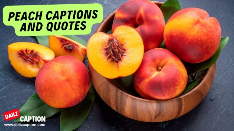 113 Best Juicy Peach Puns And Quotes For Instagram