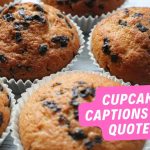 240 Cupcake Captions And Quotes For Instagram