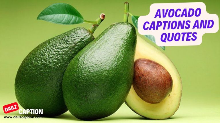 258 Avocado Captions And Quotes For Instagram