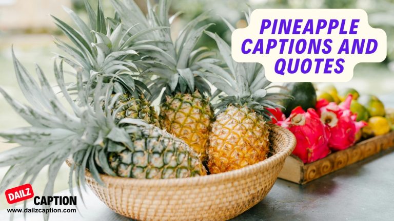 264 Pineapple Captions And Quotes For instagram