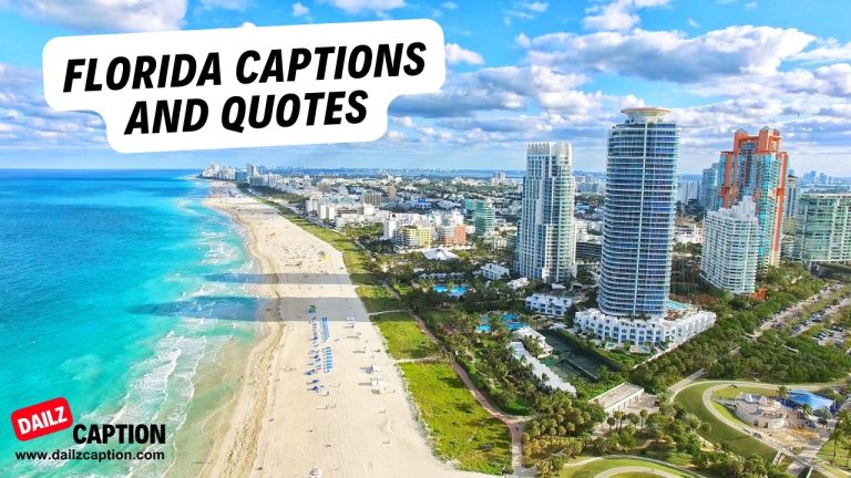 381 Top Florida Instagram Captions And Quotes