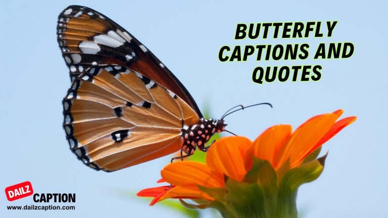 414 Butterfly Captions For Instagram Best Butterfly Quotes