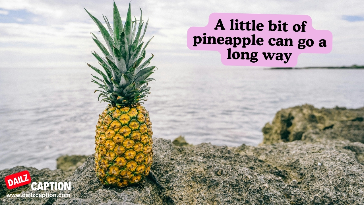 Beautiful Pineapple Quotes For Instagram