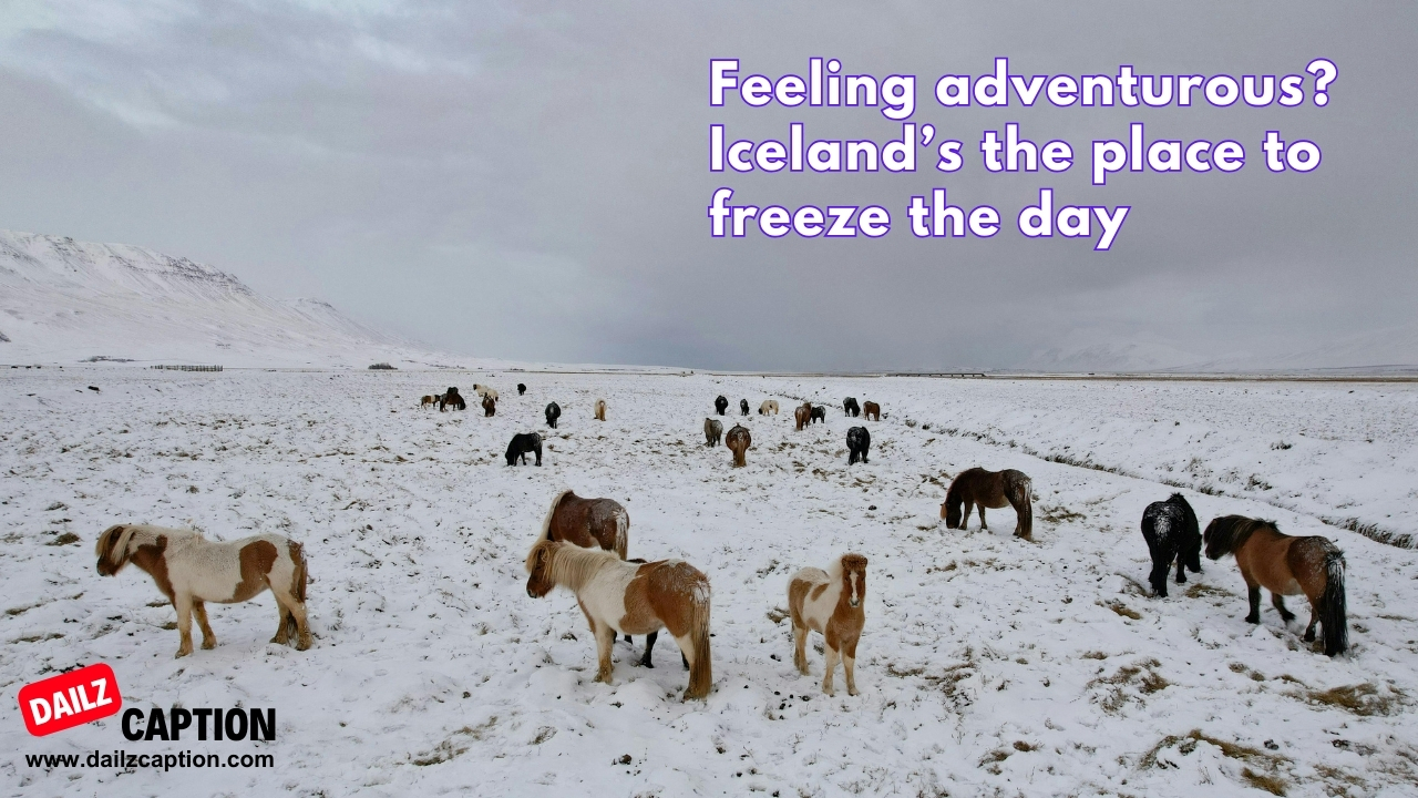 Iceland Quotes For Instagram