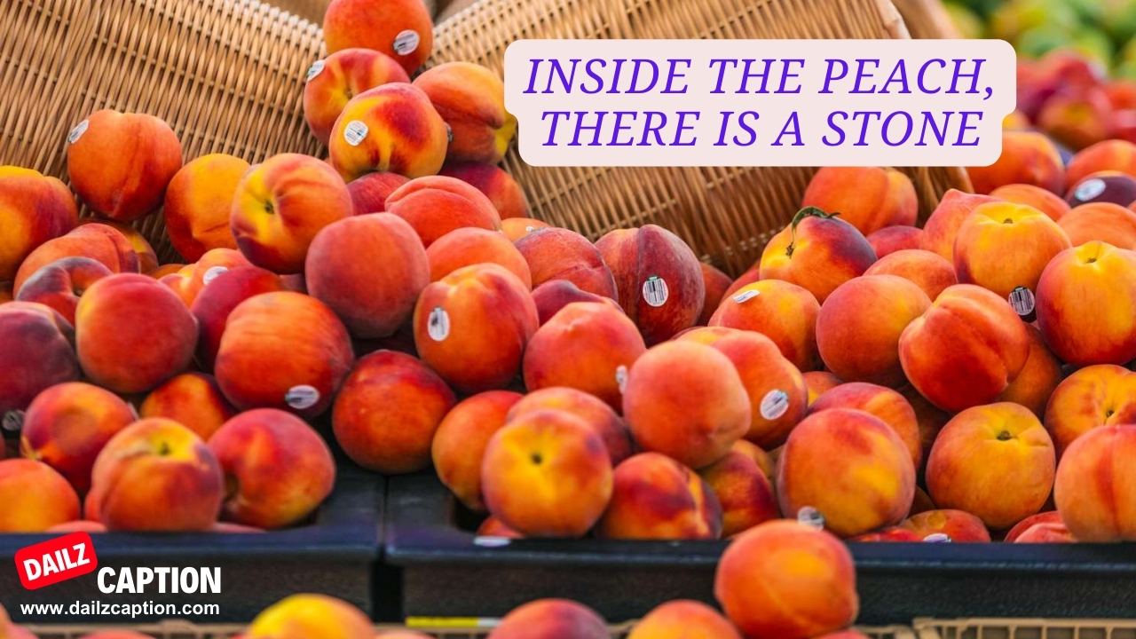 Peaches And Cream Quotes About The reality Of Life
