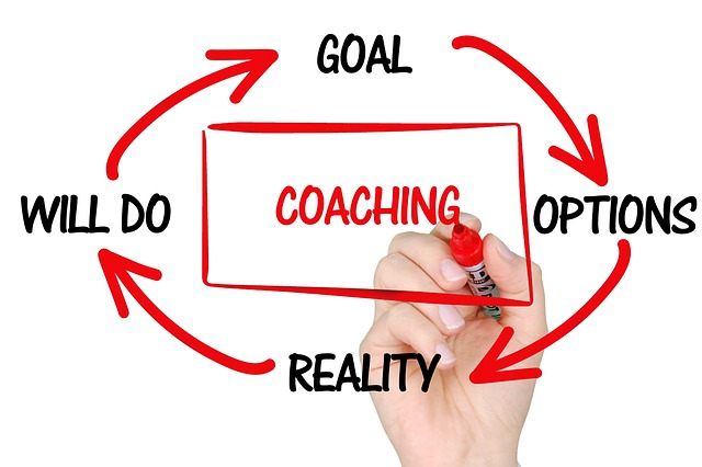 Executive Coaching Certification Program Truly Stand Out?