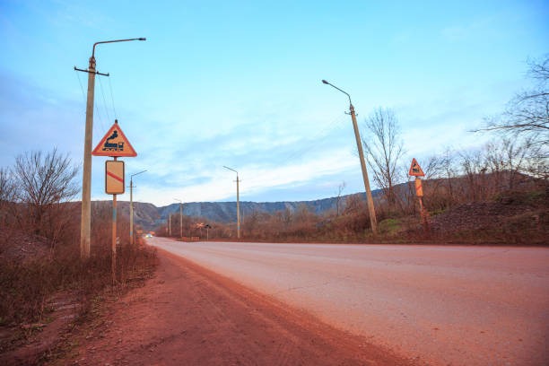 Iron Bisglycinate: A Gentle and Effective Way to Boost Iron Levels