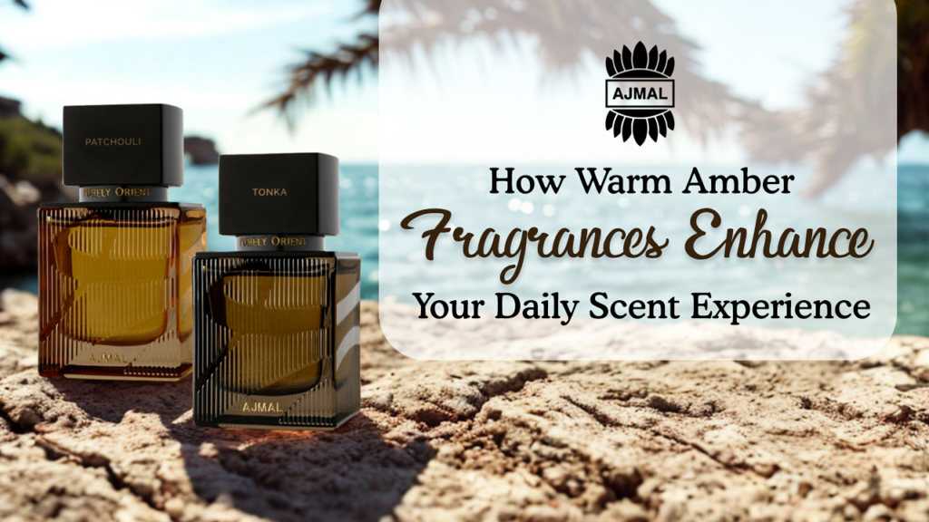 Warm Amber Fragrances